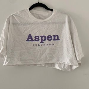 brandy Melville cropped Aspen tee